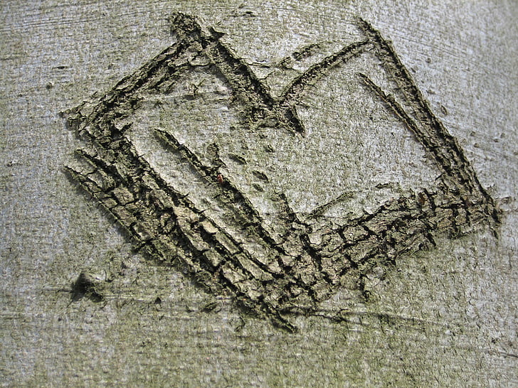 tree, bark, heart, engraved, love