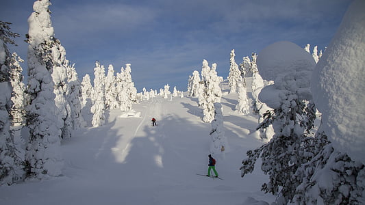 cross country kayak, Finlandiya, Lapland, Şube, Kış ruh hali, soğuk, Äkäslompolo