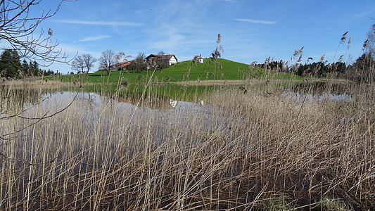 Beieren, Allgäu, hegratsrieder lake, reed, Lake, water reflectie, boerderij