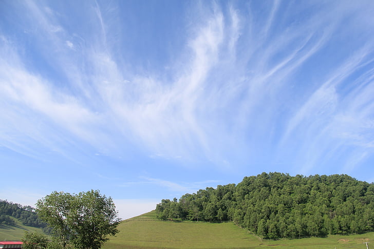 prati, nuvola bianca, cielo sereno, visualizzazione cloud, aria, giorno, estate