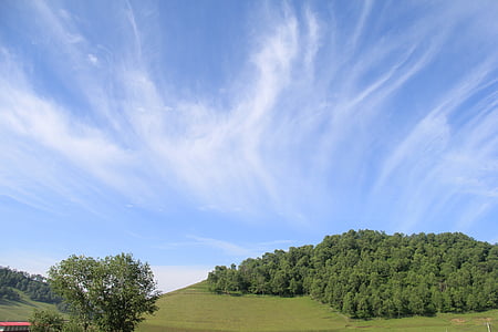 메도우, 흰 구름, 명확한 하늘, 클라우드 뷰, 공기, 하루, 여름