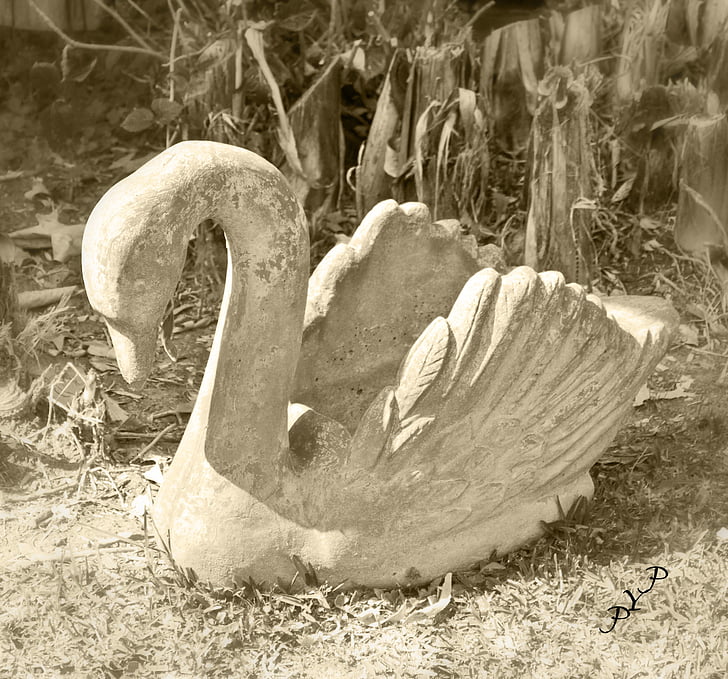swan, sculpture, stone figure, stone, statue, waterfowl, garden sculpture