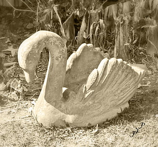 Swan, skulptur, stein figur, stein, statuen, vannfugler, hage skulptur