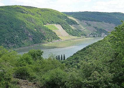 Рейн, банка, река, вино тераси, Германия, река пейзаж, води