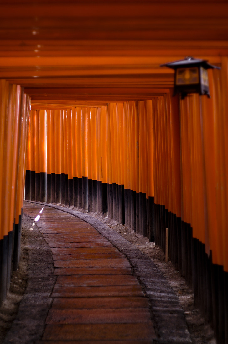 Sanktuarium, Japonia, Azja, budynek, Fushimi inari shrine, czerwony, Torii