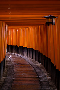Santuario, Giappone, Asia, costruzione, Santuario di Fushimi Inari, rosso, Torii