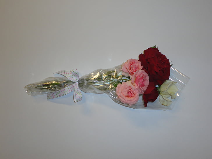 τριαντάφυλλα, λουλούδι, δέσμη, μπουκέτο, λευκό, κόκκινο, floral