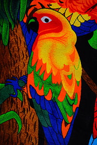 малък дългоопашат папагал, цветни, птица, животните, кърпа, Бат кърпа, цвят