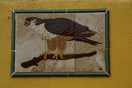 buzzard, bird, image, raptor, bird of prey, animal, common buzzard
