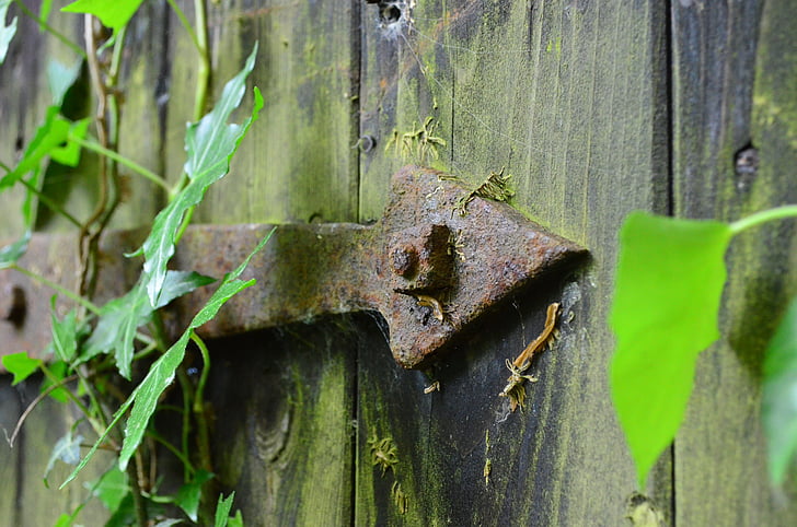 door hardware, old, rusty, quaint, wood - Material