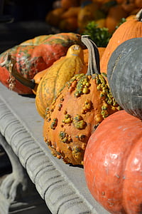 pumpkins, gourds, autumn, fall, harvest, decoration
