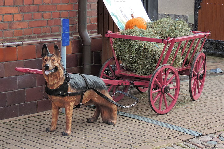 handcart, figure, dog, cannon cars, hay, pumpkin, thanksgiving
