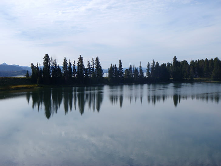 Yellowstone, søen, skyer, natur, skov, vand, landskab