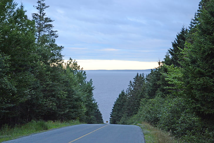 Nova, Scotia, strada, foresta, Canada, nuvole, cielo