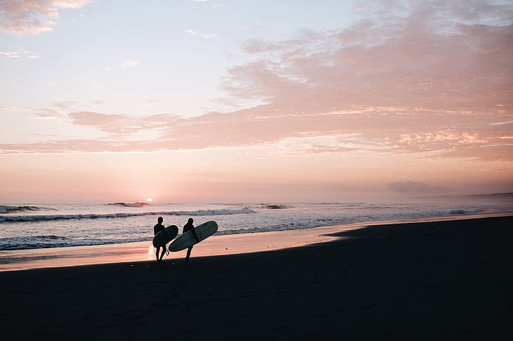 två, person, transporterar, surfbräda, promenader, strandlinjen, soluppgång
