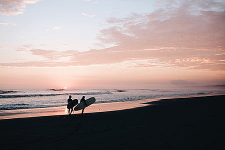 dos, persona, llevar, tabla de surf, caminando, Costa, salida del sol