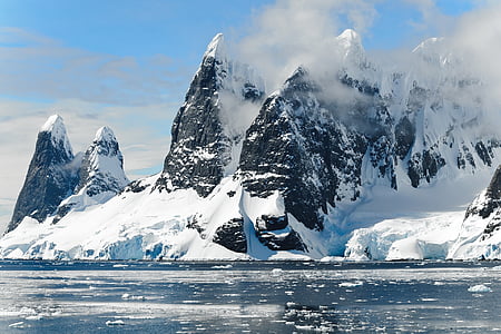Antártida, frío, flotando, ze, glacial, glaciar de, hielo