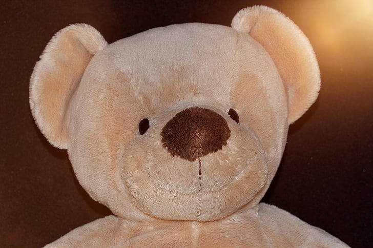 Teddy bear, orsacchiotto, morbido, soffici, popolari, beige, Ritratto
