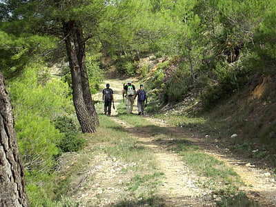 mountain, path, walking, outdoor, hiking, trail, hiking trail