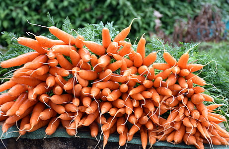 légume, frais, jus de carotte, en bonne santé, Ooty, nutrition