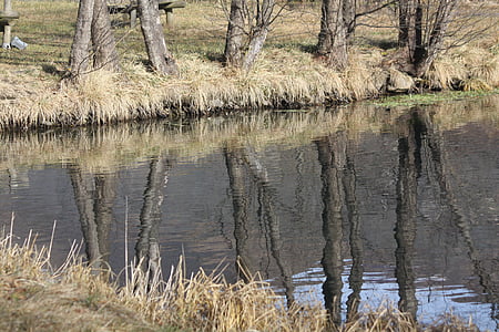 spiegel reflectie, landschap, bomen, rivier, natuur, Lake, kofferbak