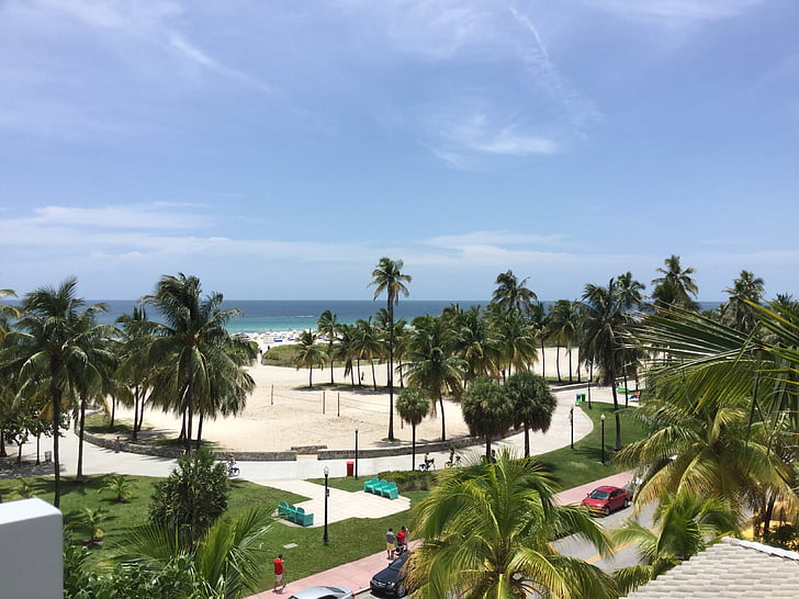 Miami, pludmale, palmas, palmas, kūrorts, jūra, okeāns