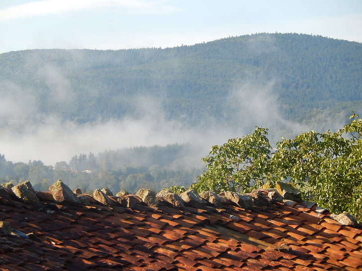 kabut, bidang, atap, rumah