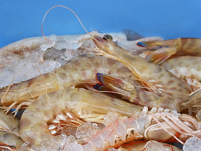 king prawns, fresh fish, mediterranean diet