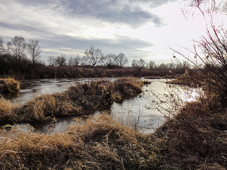 river, winter, no snow, landscape, reeds, seasons of the year