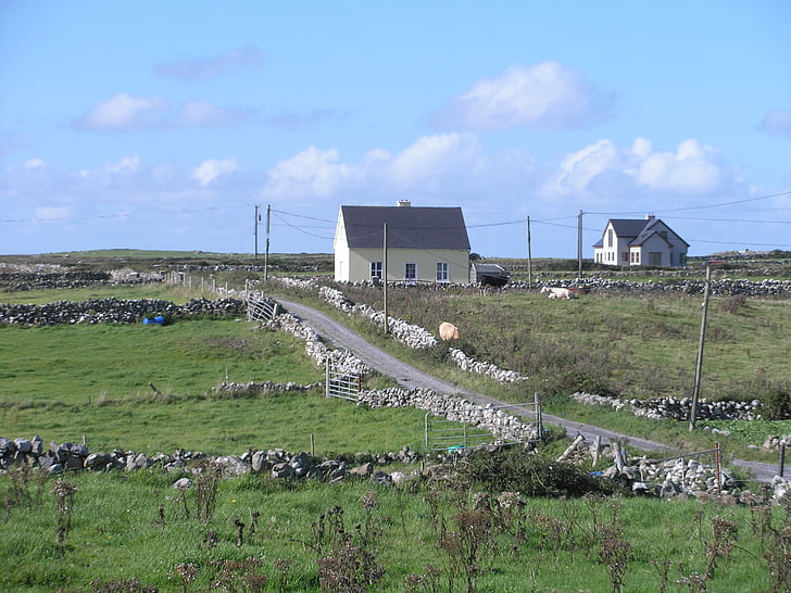 Irsko, zemědělská půda, krajina, pole, Příroda, zelená, venkov