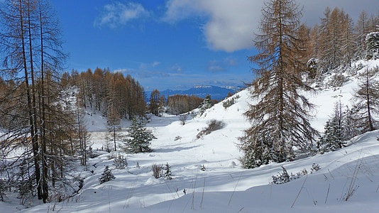kraštovaizdžio, Gamta, kalnų, žiemą, Alpės, žiemos peizažas, snieguotas