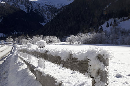 recinzione, panorama invernale, hoarfrost, cristalli, freddo, cristalli di neve, foto inverno