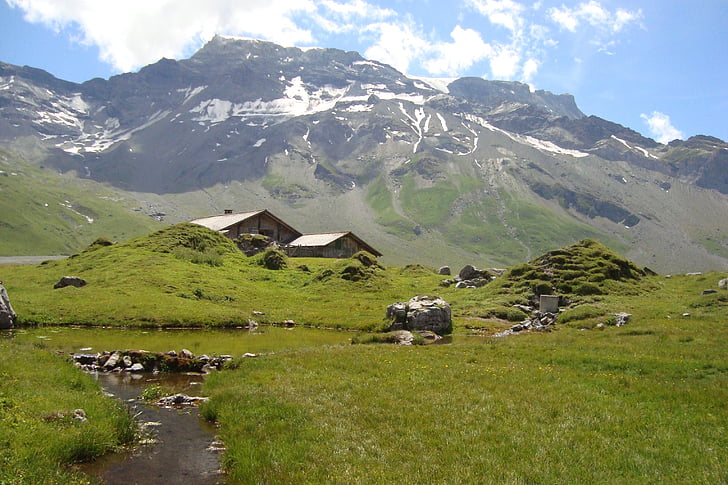 Alp, montanhas, Suíça, cabana, montanha, natureza, Verão