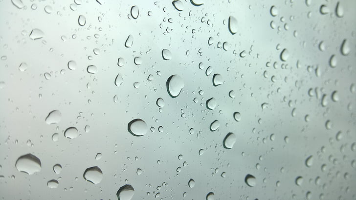 regen, waterdruppels, regendruppels, regenachtige dag, regen achtergrond, natuur