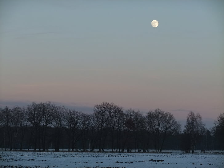round the moon, natural, snow, views, twilight, woods