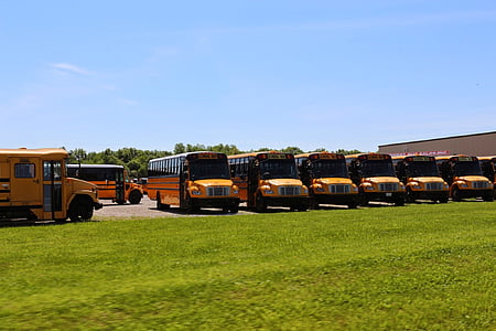 Verenigde Staten, schoolbus, schoolbussen, Amerika, school, bussen, geel