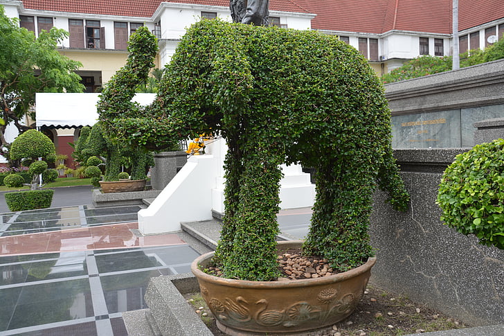 Topiary, elefant, hedge, blad, dyr, design, Park