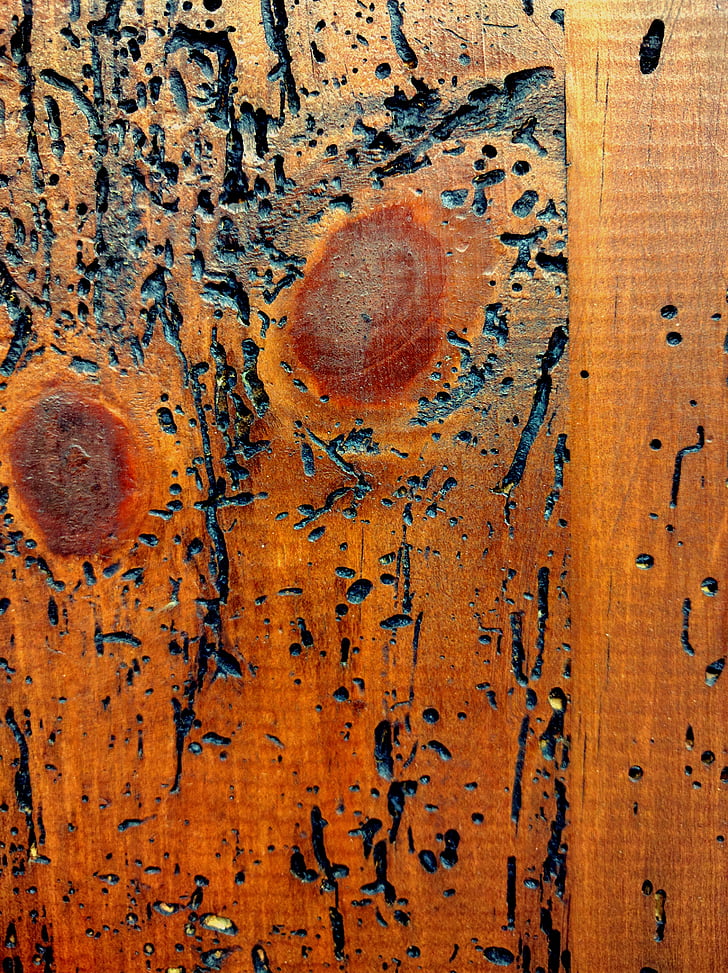 drewno, tekstury, korniki, stary