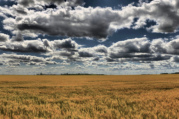 Prairie, taivas, pilvet, luonnonkaunis, Luonto, maisema, kenttä
