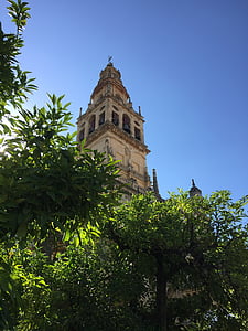 Hiszpania, Kordoba, drzewo, Andaluzja, łuk, Architektura, niebieski