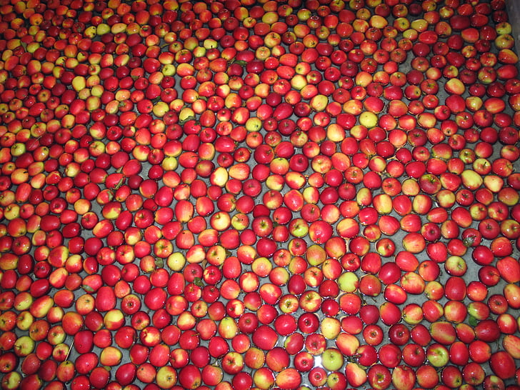 appels, fruit, rode appels, Kivik, Zweden, structuur, achtergronden