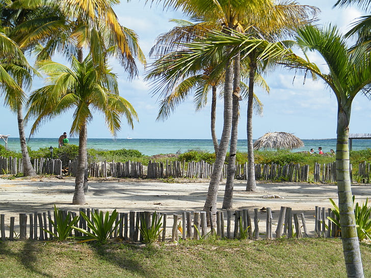 Kuba, pláž, Cayo guillermo