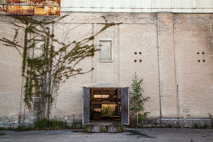 open door, vine, creeper, abandoned building, climber, twine, exterior