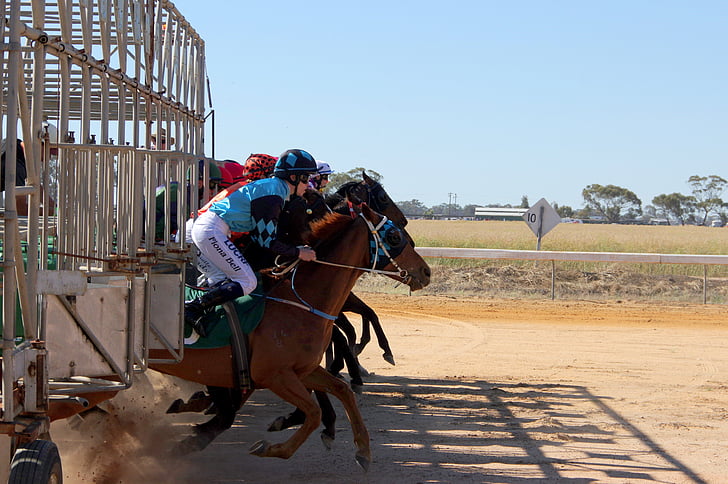 horse racing, barrier, jump
