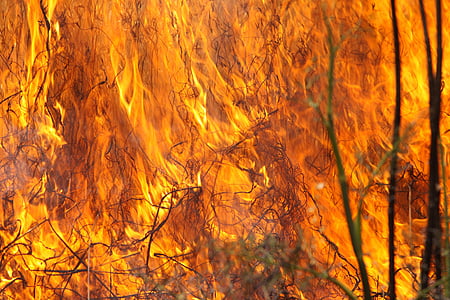 燃烧的草, 消防, 火焰, 热, 热, 户外, 荒野