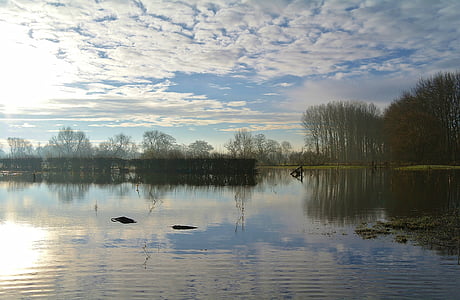 Lacul, iarna, zona rurală, Tara, peisaj, reflexie, calm