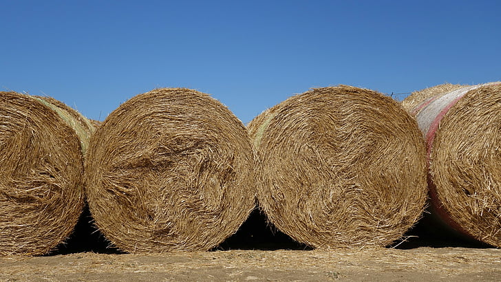 straw bales, straw, roll, summer, background