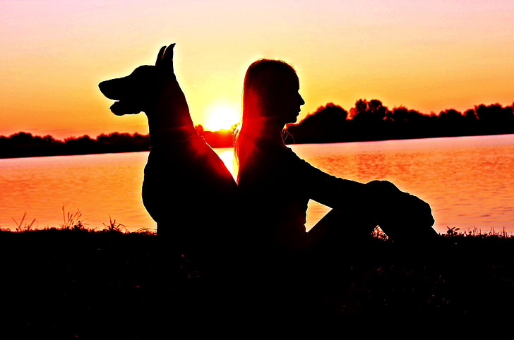 Doberman, žena, silueta, izlazak sunca, prijateljstvo, mrtva priroda, uz jezero