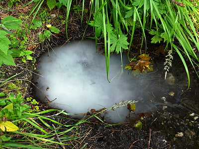 spring, summer, grass, water and gas, bubbles