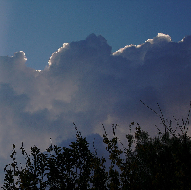 nubes, se congregaron, Puffy, grandes, sombras azul, borde blanco, puso de relieve